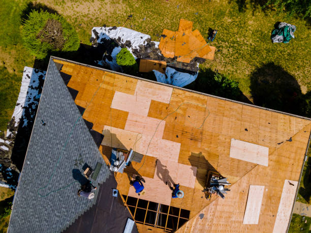 Best Shingle Roofing Installation  in Flence, OR